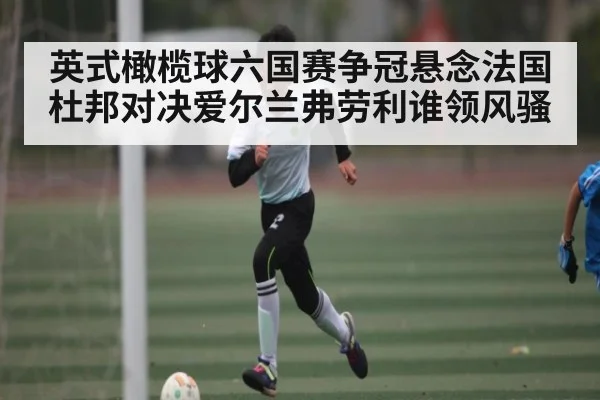 英式橄榄球六国赛争冠悬念法国杜邦对决爱尔兰弗劳利谁领风骚